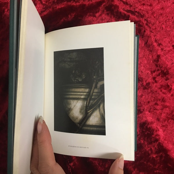 Meraviglia : 及川哲也写真集