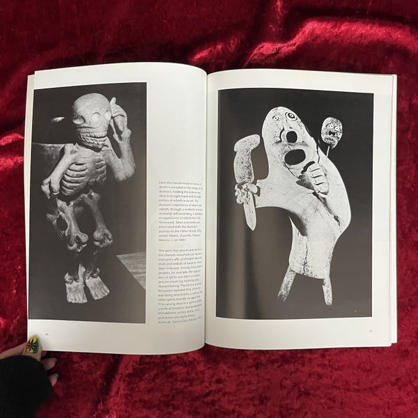 Shaman: The Wounded Healer　洋書