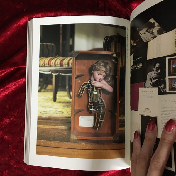 澁澤龍彥ドラコニアの地平