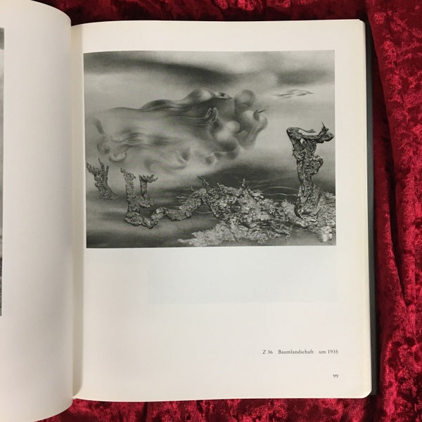Richard Oelze 1900 - 1980. Gemälde und Zeichnungen 洋書