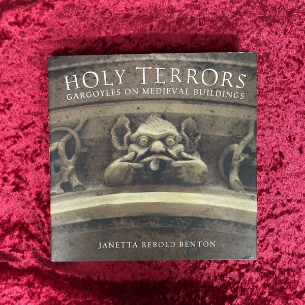 Holy Terrors: Gargoyles on Medieval Buildings　洋書