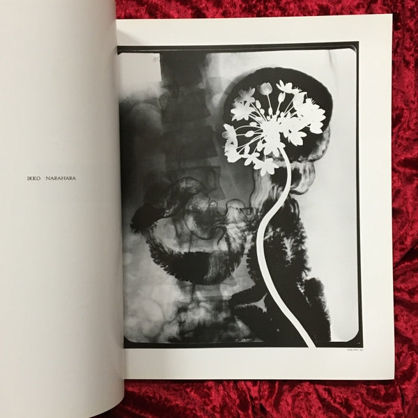 hysteric No.2 1991　Self Portrait 北村信彦、合田佐和子、植田正治、奈良原一高、綿谷修 他