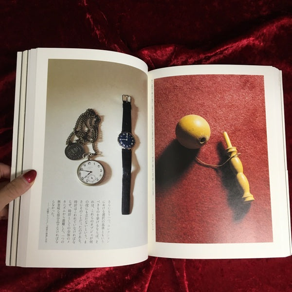 澁澤龍彥ドラコニアの地平