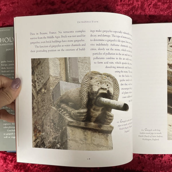 Holy Terrors: Gargoyles on Medieval Buildings　洋書