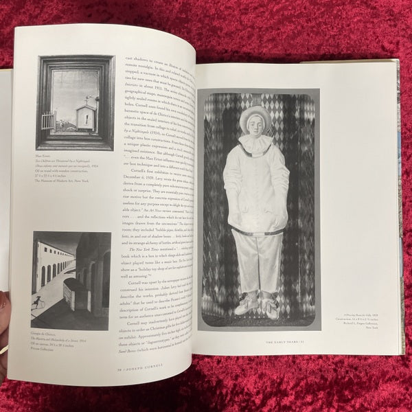 Joseph Cornell: Master of Dreams　洋書　ジョセフ・コーネル