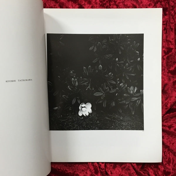 hysteric No.2 1991　Self Portrait 北村信彦、合田佐和子、植田正治、奈良原一高、綿谷修 他