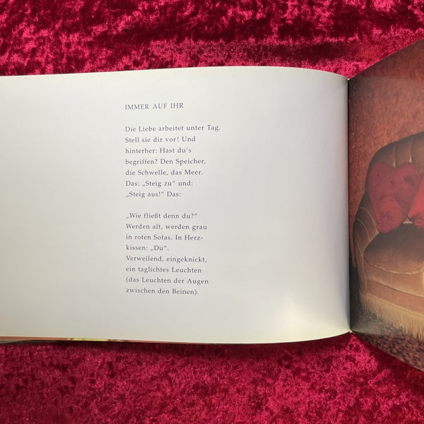 Vakat : Nan Goldin / Sartorius Joachim 洋書　ナン・ゴールディン・ヨアヒム・サルトリウス