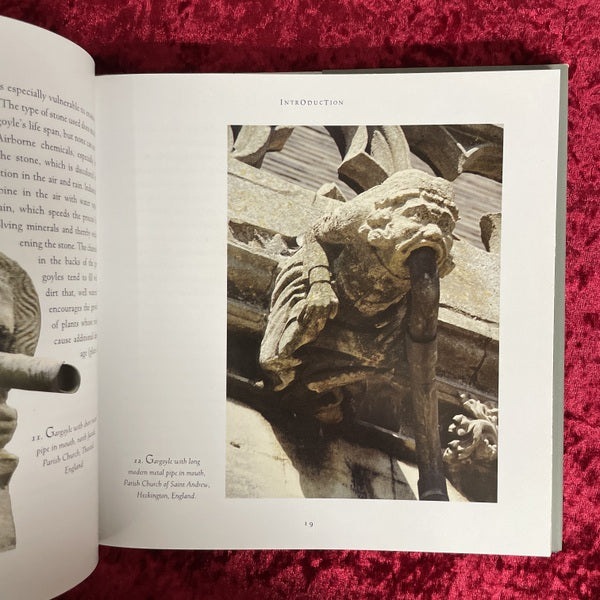 Holy Terrors: Gargoyles on Medieval Buildings　洋書