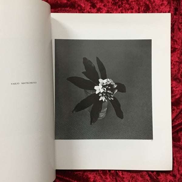 hysteric No.2 1991　Self Portrait 北村信彦、合田佐和子、植田正治、奈良原一高、綿谷修 他