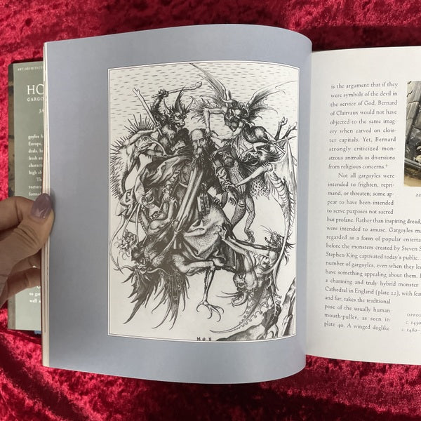 Holy Terrors: Gargoyles on Medieval Buildings　洋書