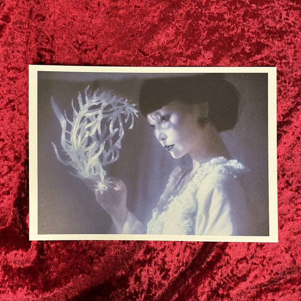 平木希奈 作品集「Amour」　被写体：RINA（SCANDAL）