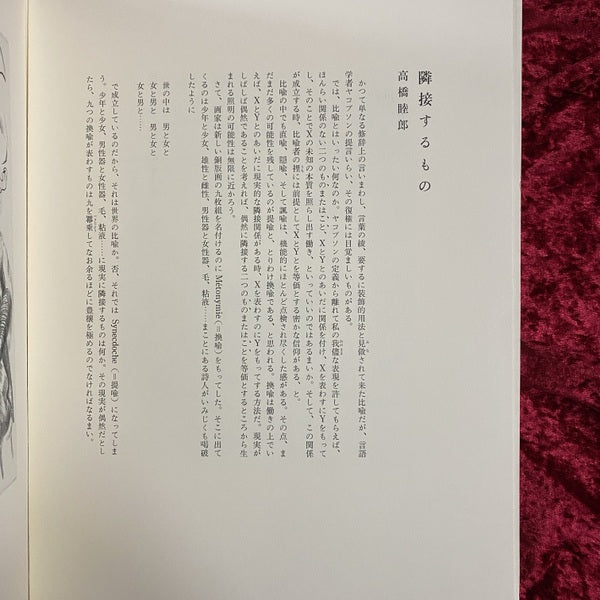 金子國義銅版画集 : METONYMIE　換喩　 内容見本パンフレット