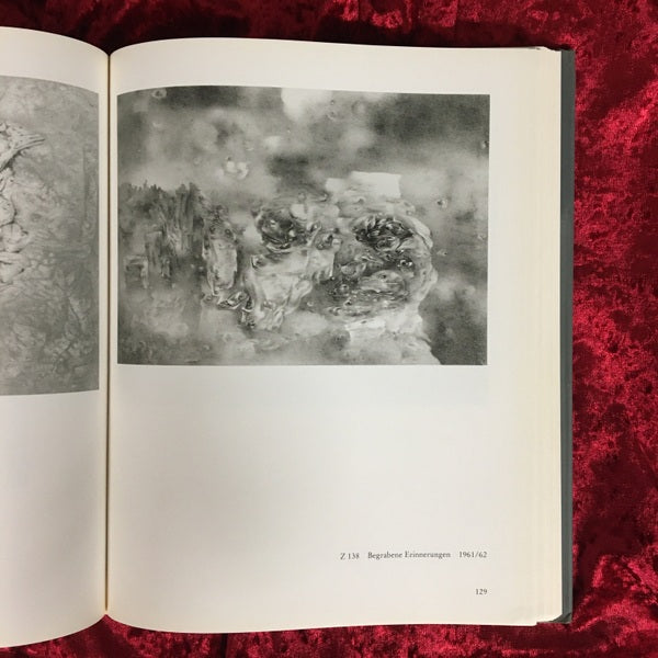 Richard Oelze 1900 - 1980. Gemälde und Zeichnungen 洋書