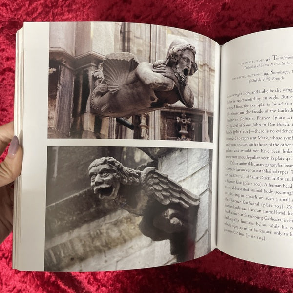Holy Terrors: Gargoyles on Medieval Buildings　洋書