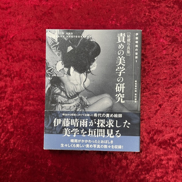 伊藤晴雨の世界　秘蔵写真集　責めの美学の研究 １