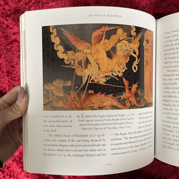 Holy Terrors: Gargoyles on Medieval Buildings　洋書