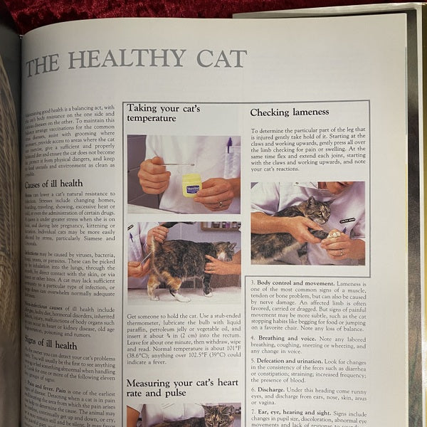 The Noble Cat | Aristocrat of the Animal World | Domestic and Wild　洋書