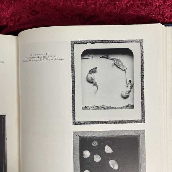 Joseph Cornell　洋書　ジョセフ・コーネル