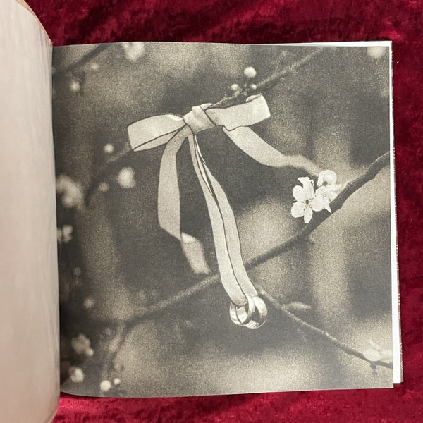 The Anniversary Album　洋書　ローリー・ワグナー