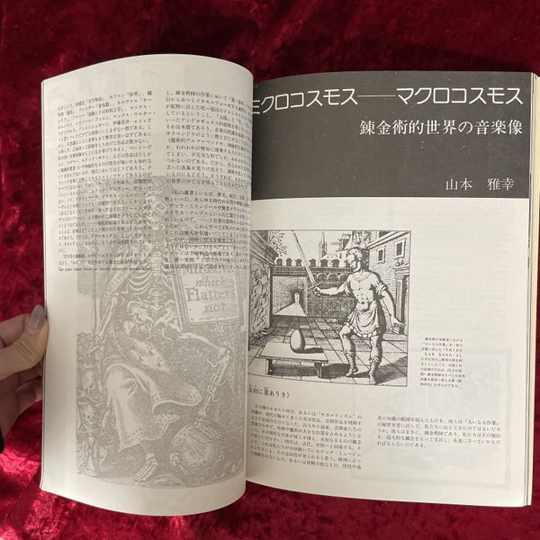Fool's mate　vol.9 フールズ・メイト　特集　オカルティズム幻想