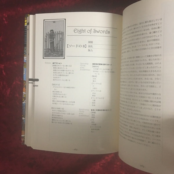 ラーニング・ザ・タロット : タロットマスターになるための18のレッスン