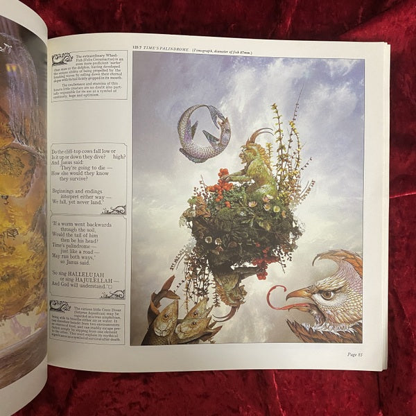 HALLELUJAH ANYWAY　洋書