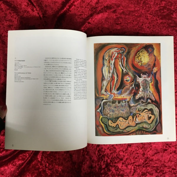 アンドレ・マッソン&ロベルト・マッタ  それぞれの宇宙 展覧会図録