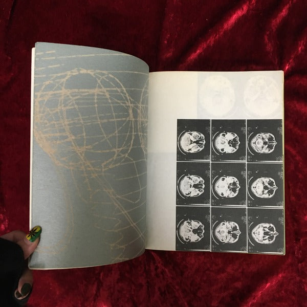 特集 電子進化論 ＜G・S[たのしい知識] = La gaya scienza＞