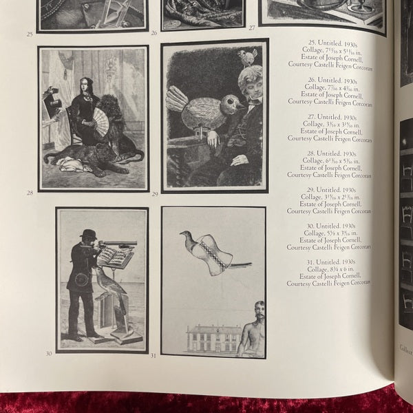 Joseph Cornell　洋書　ジョセフ・コーネル