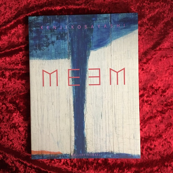 MEEM Kenji Kobayashi ART WORKS 1990-2008 小林健二　展覧会カタログ 署名入り