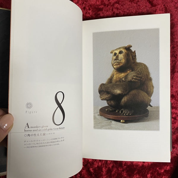 万国怪物大博覧会
