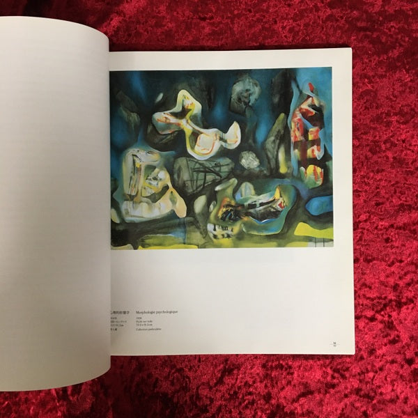 アンドレ・マッソン&ロベルト・マッタ  それぞれの宇宙 展覧会図録