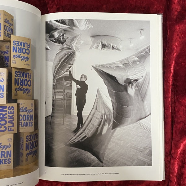 Andy Warhol: Dark Star　洋書