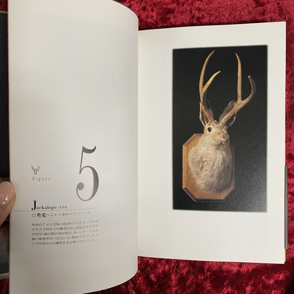 万国怪物大博覧会