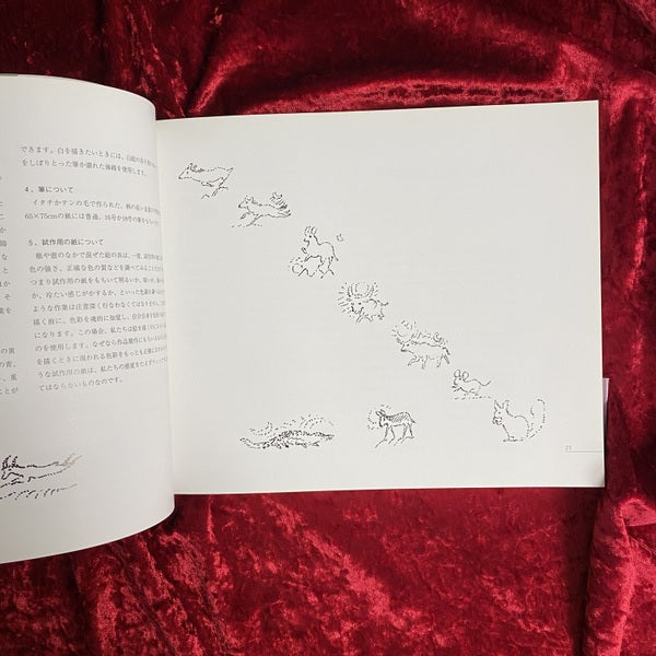 ルドルフ・シュタイナーの芸術論に基づく絵画の実践 色彩のファンタジー　著/画：エリーザベト・コッホ、ゲラルト・ヴァーグナー　訳：松浦賢