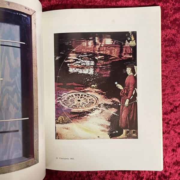 Joseph Cornell 洋書 ジョセフ・コーネル