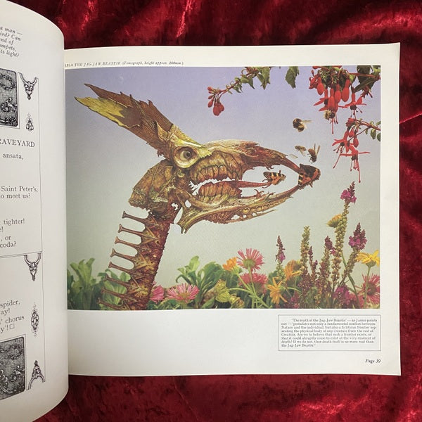 HALLELUJAH ANYWAY　洋書