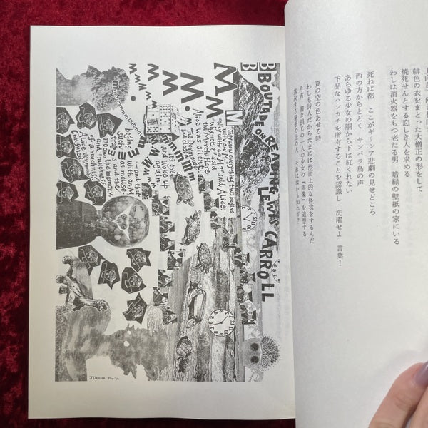 アリスの絵本 : アリスの不思議な世界