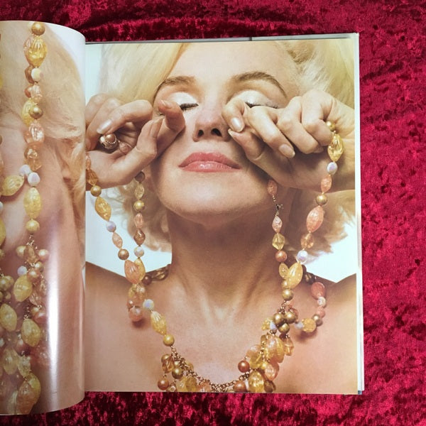 The Last Sitting 洋書