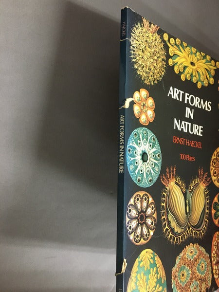 ART FORMS IN NATURE　Ernst Haeckelエルンスト・ヘッケル　洋書