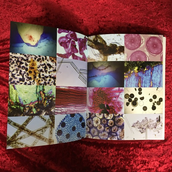 MEEM Kenji Kobayashi ART WORKS 1990-2008 小林健二　展覧会カタログ 署名入り