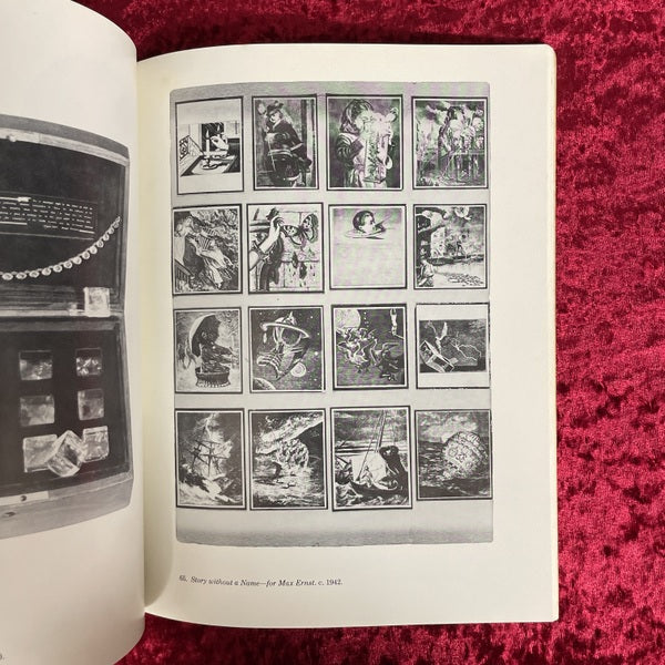 Joseph Cornell 洋書 ジョセフ・コーネル