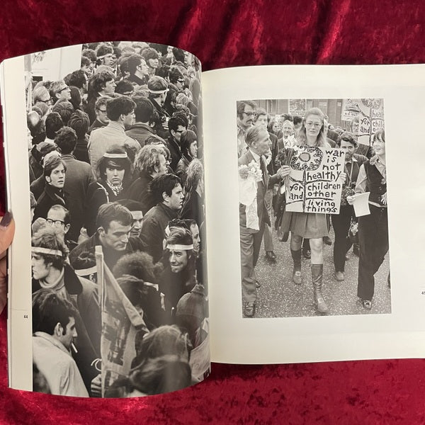 In the Sixties 洋書
