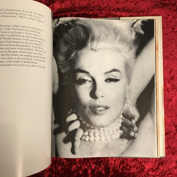 The Last Sitting 洋書