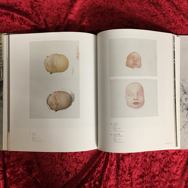 【絶版】アントニオ・ロペスガルシア 図録 現代スペインリアリズムの巨匠 2013 現代スペイン・リアリズムの巨匠 アントニオ・ロペス | アントニオ