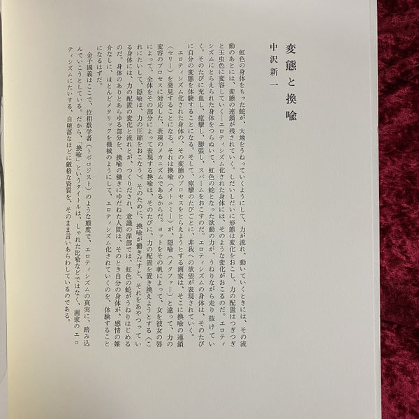 金子國義銅版画集 : METONYMIE　換喩　 内容見本パンフレット