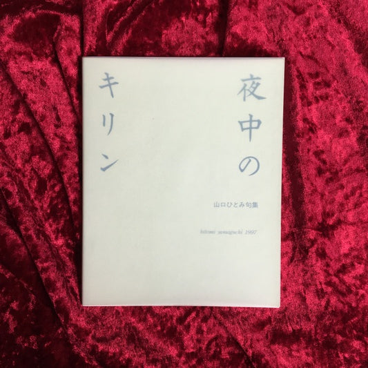 夜中のキリン　山口ひとみ句集