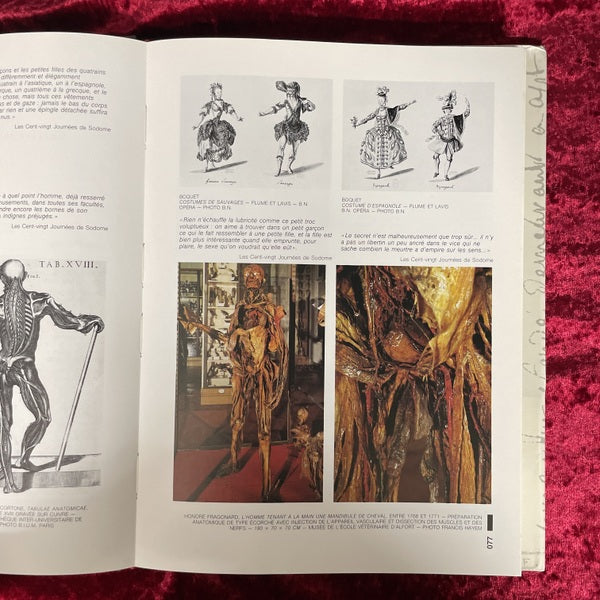 Petits et Grands Theatres du Marquis de Sade　（マルキ・ド・サドの小さな劇場と大きな劇場）洋書　