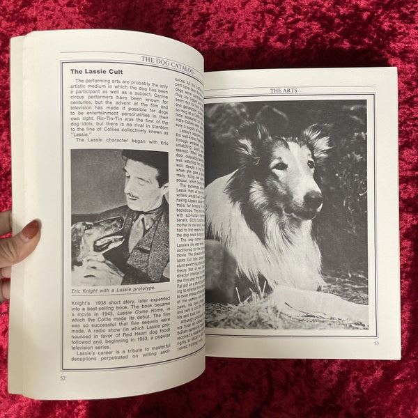 Dog catalog 洋書