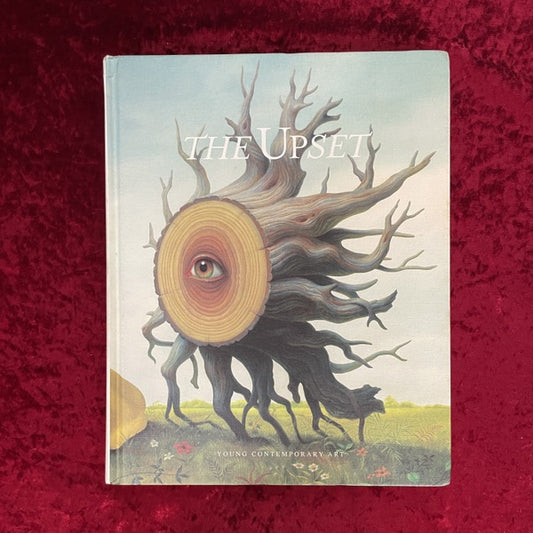 The Upset: Young Contemporary Art　洋書
